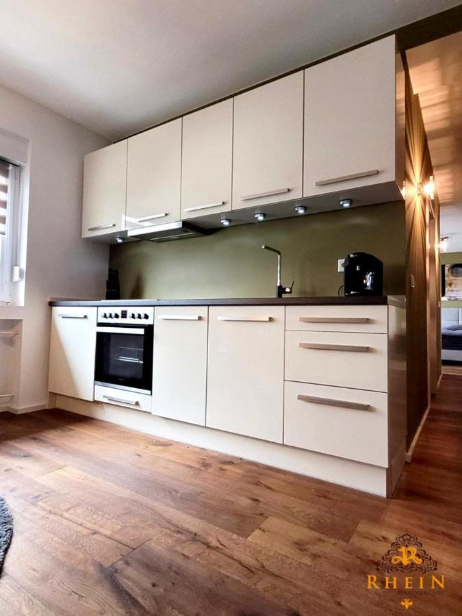 Top Modernes Rhein Apartment Vallendar Mit Balkon Extérieur photo